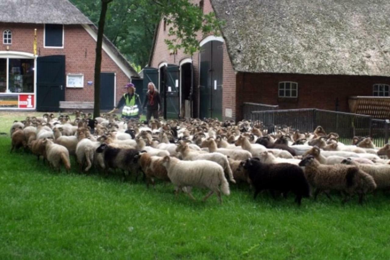 Huisje Exloo Exterior photo